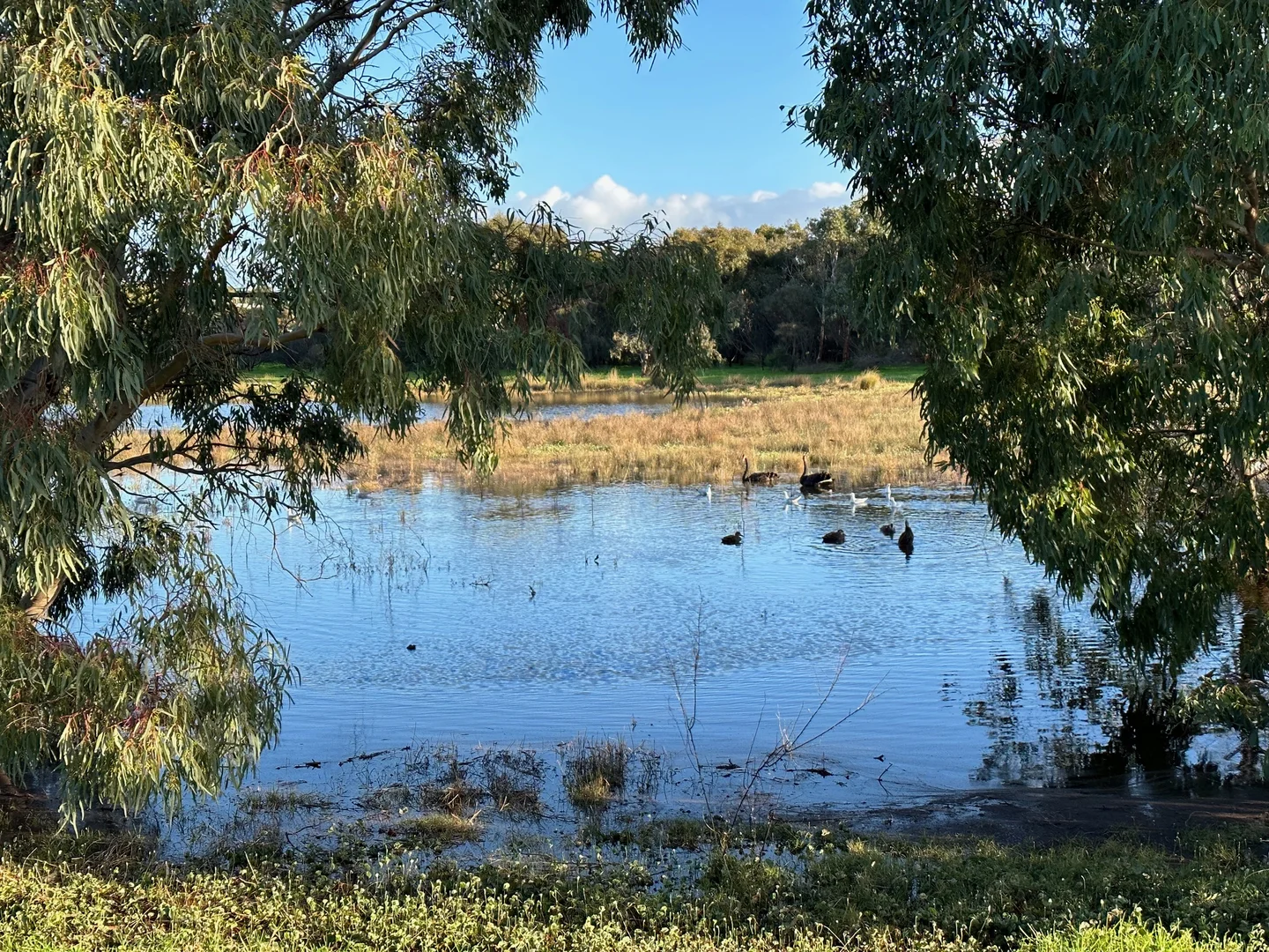 Image 15