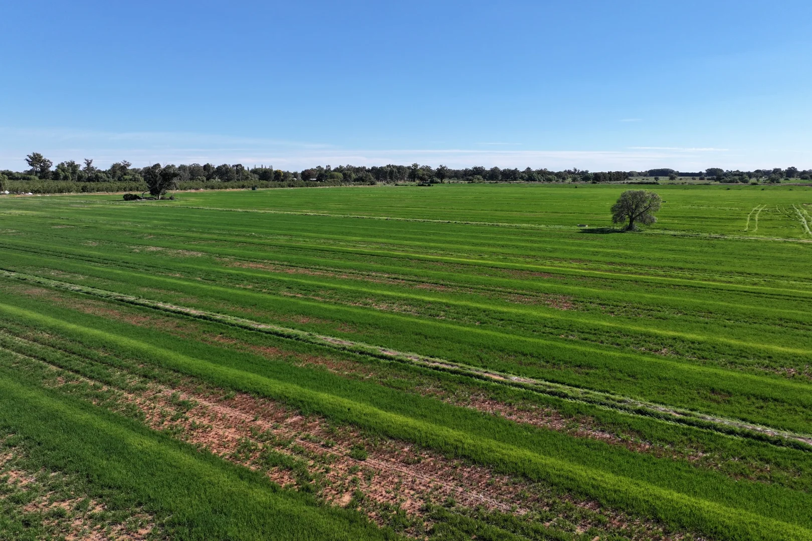 Additional image 7 of 1055 Hansen Road, Bamawm VIC 3561