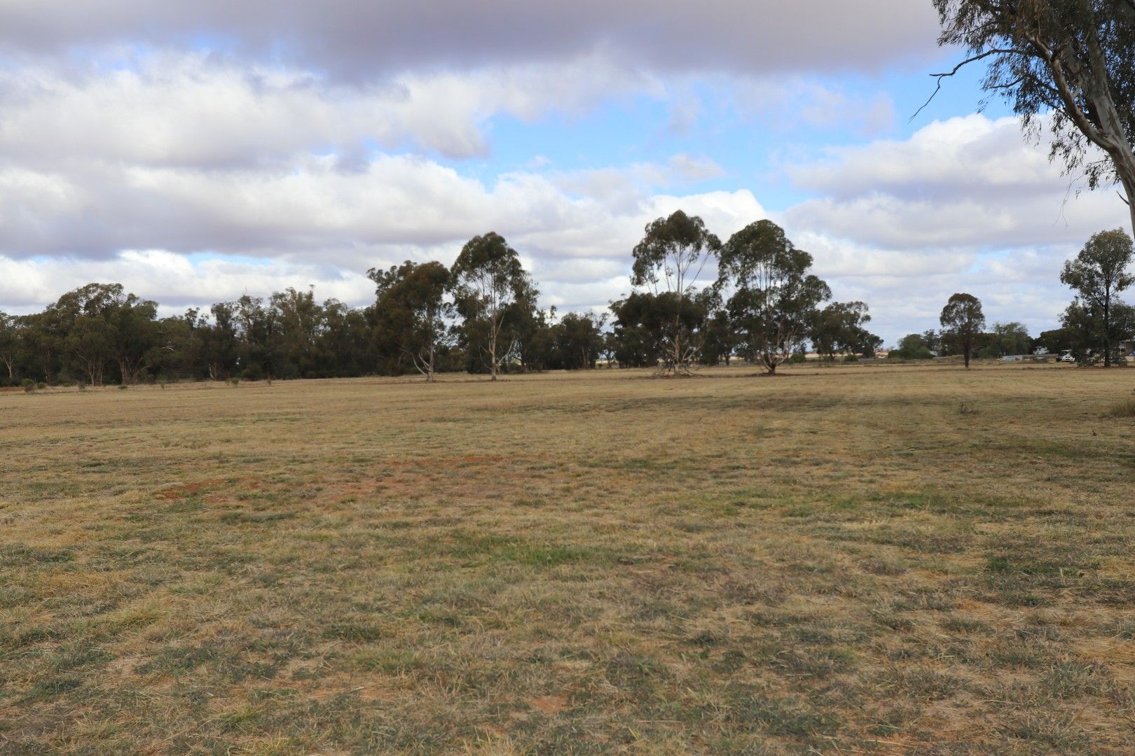 Lot Lot/6, 7, 8 & 9 Wollongough Street, Ungarie NSW 2669, Image 1