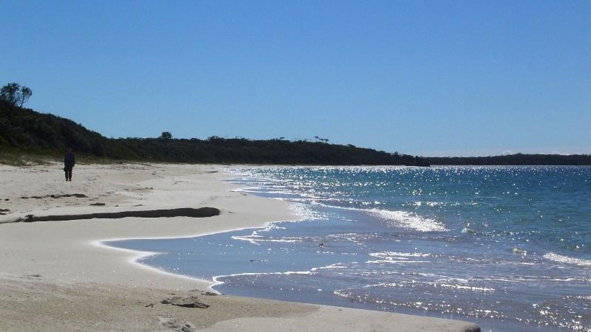 7 Chapman Street, Callala Bay NSW 2540 House For Rent Domain