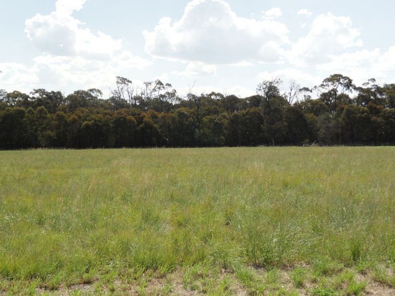 Lot 14 Lot 14 Ainsworth Street, Chinchilla QLD 4413, Image 0