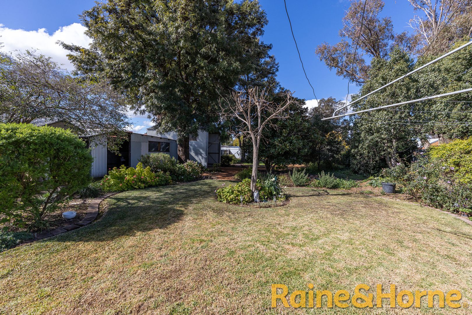 149 Temoin Street, Narromine NSW 2821 House For Rent 430 Domain