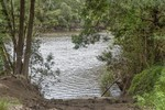 Image 15