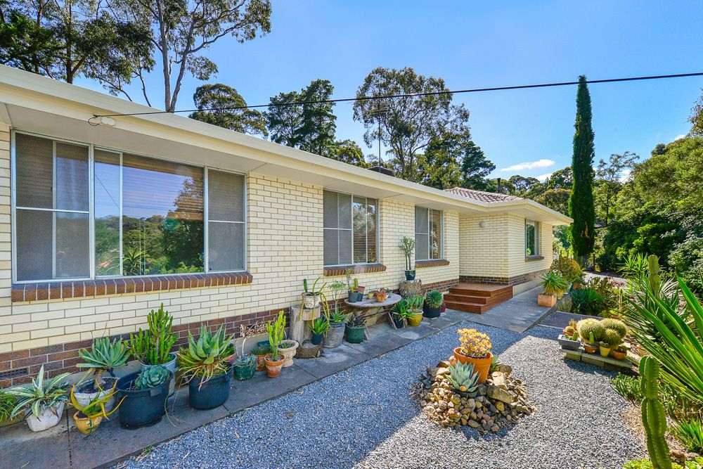 16  Hawker Avenue, Belair SA 5052, Image 0