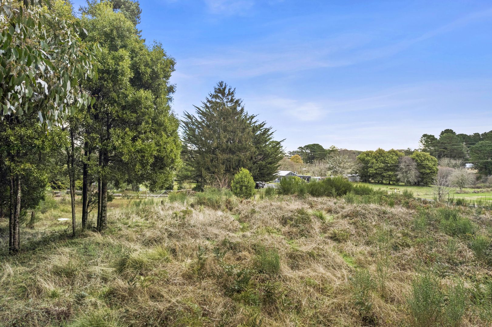 519 Blackwood Road, Newbury VIC 3458, Image 2