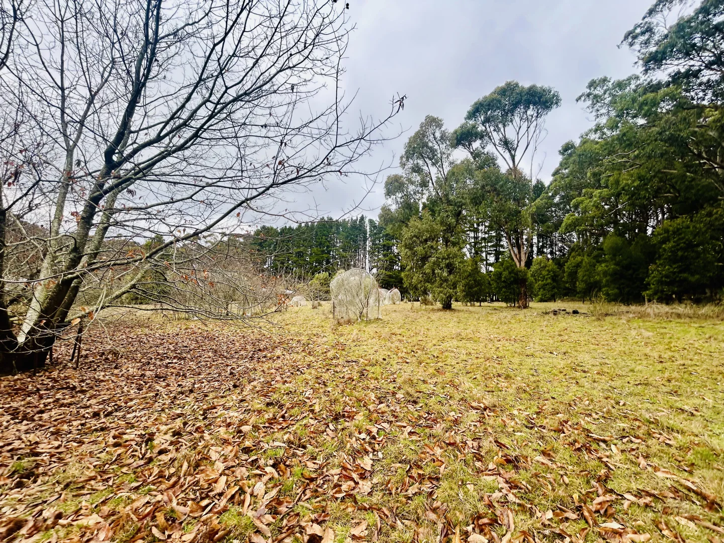 Image 21