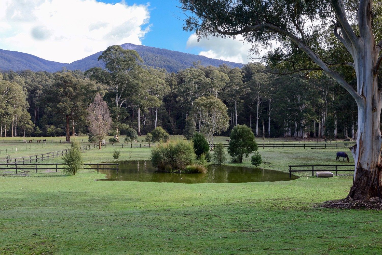 25 Cement Creek Road, East Warburton VIC 3799, Image 2