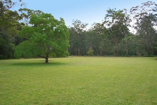 Picture of 10 Franks Lane, KUNDABUNG NSW 2441