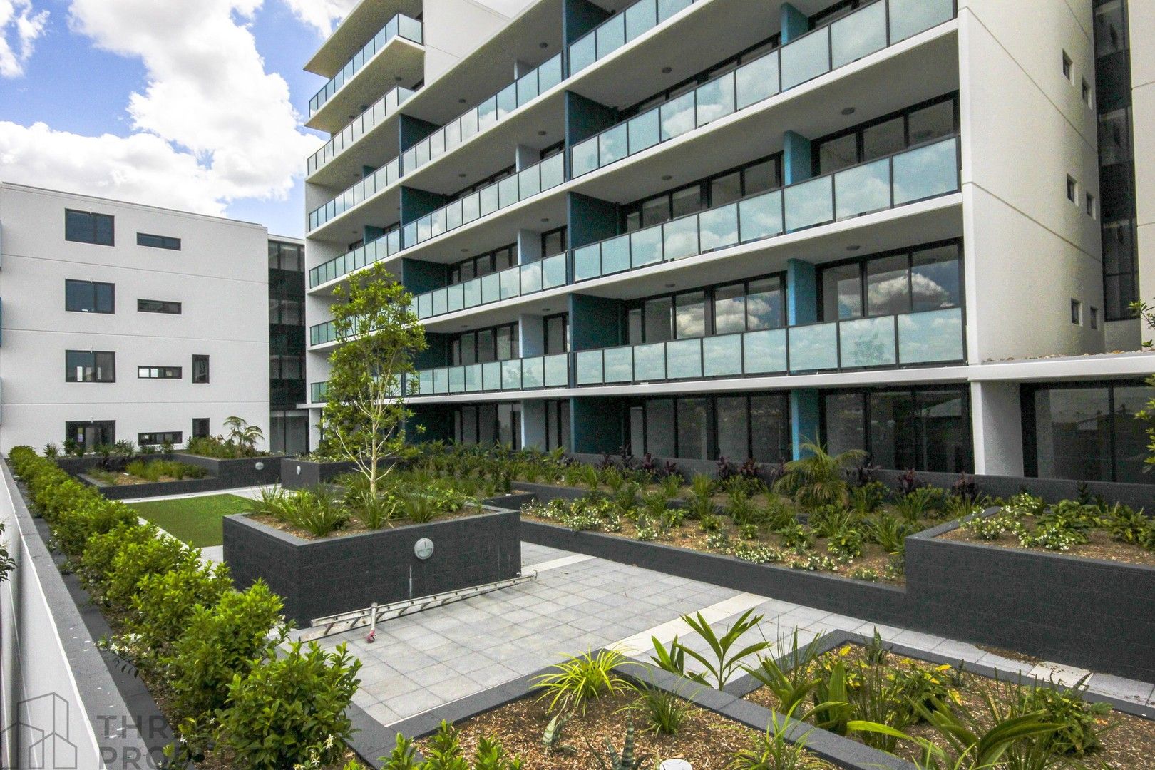 2 bedrooms Apartment / Unit / Flat in 49/2-26 Haldon Street LAKEMBA NSW, 2195