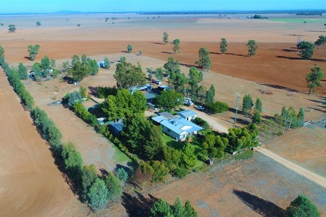 Picture of 862 New Grenfell Road "Roseville", FORBES NSW 2871