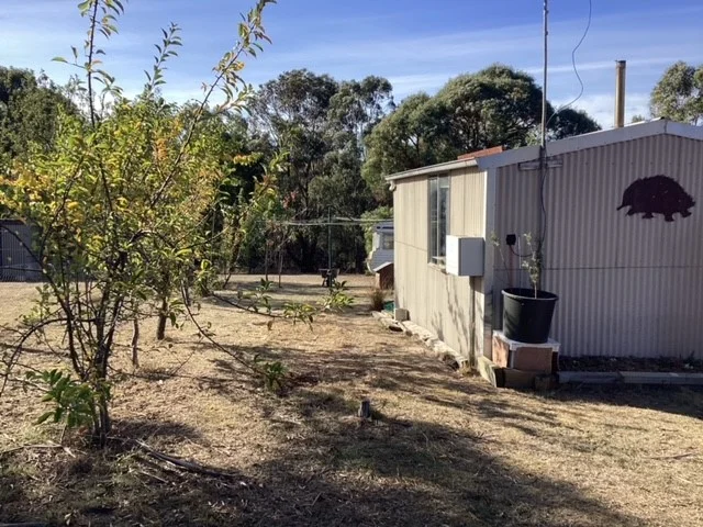 Image 15