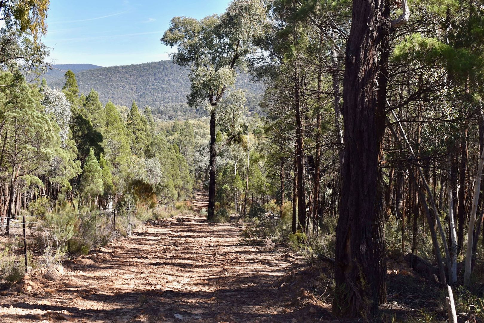 Gooloogong NSW 2805, Image 2