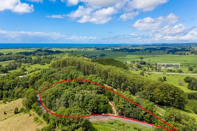 Picture of 330 Pottsville Road, SLEEPY HOLLOW NSW 2483