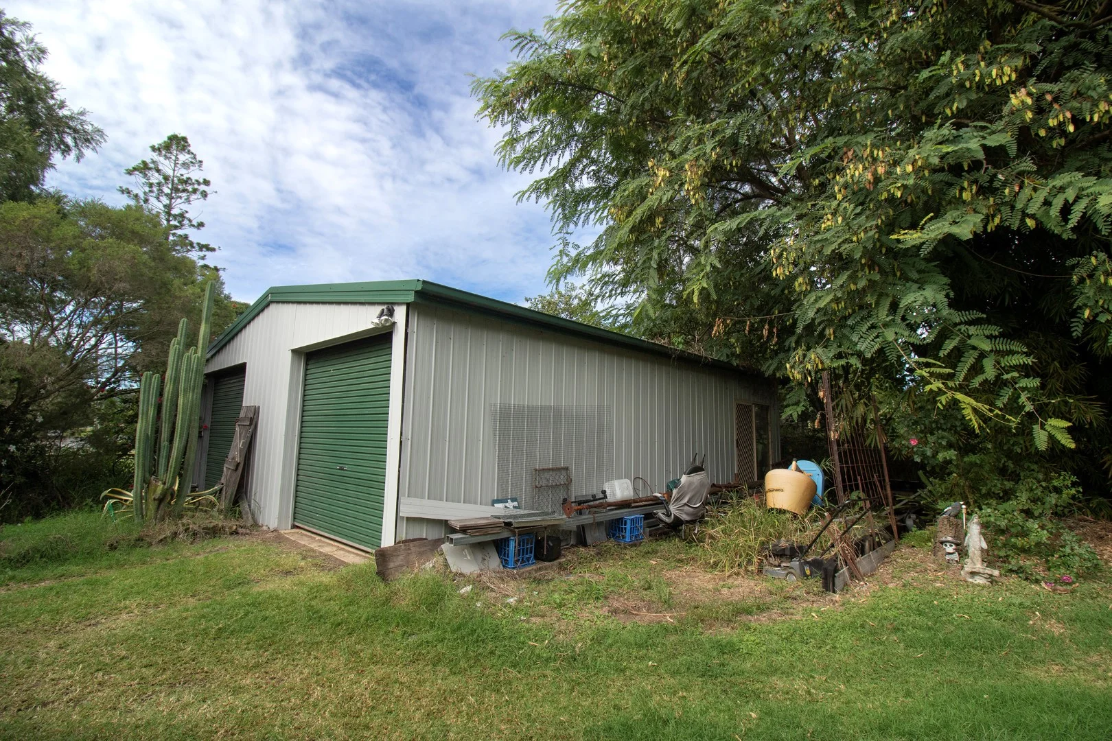 Image 6