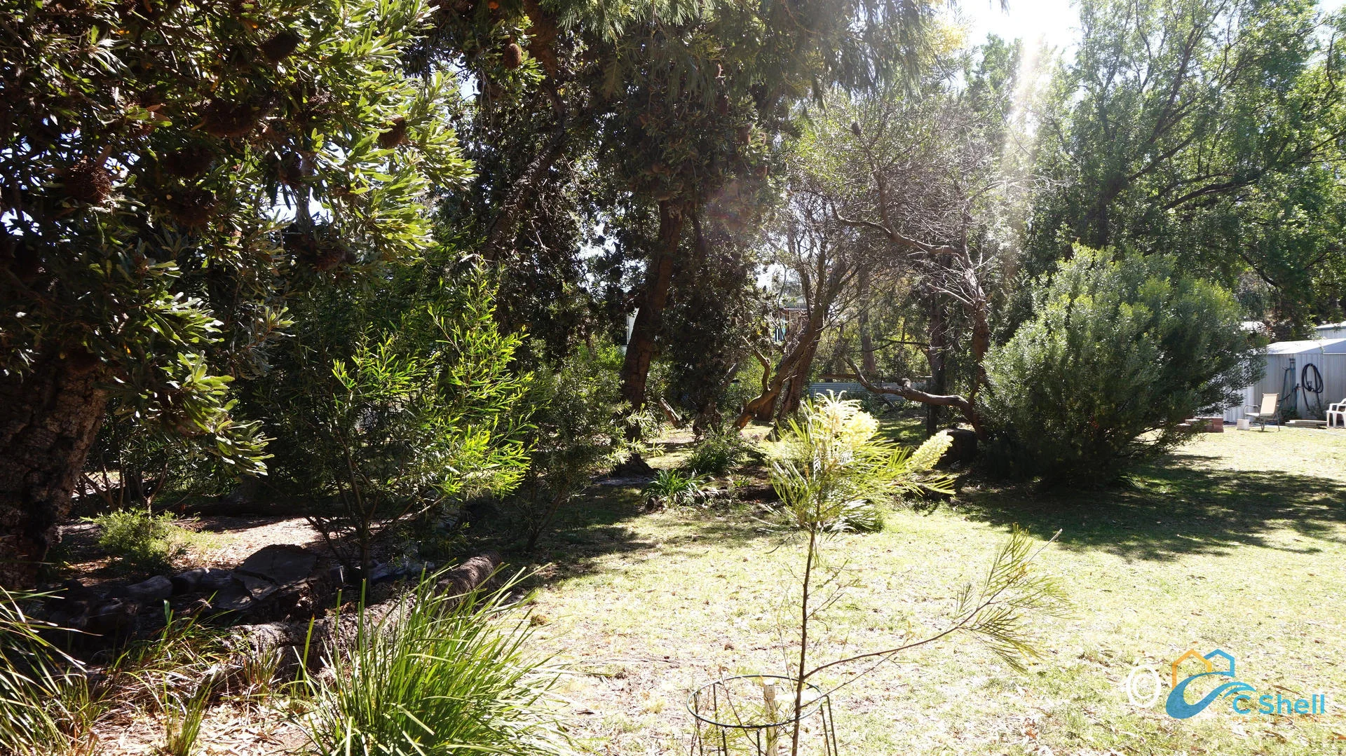 Image 7