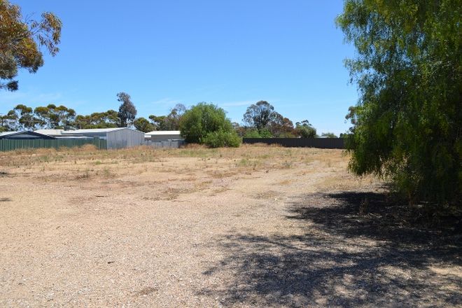 Picture of Lot 169 Main Street, OWEN SA 5460