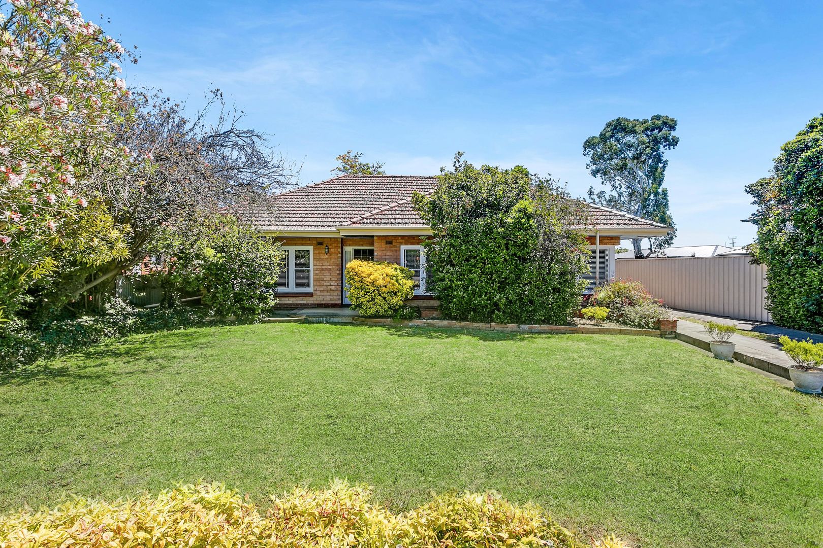 12 Daly Street, Kurralta Park SA 5037, Image 1