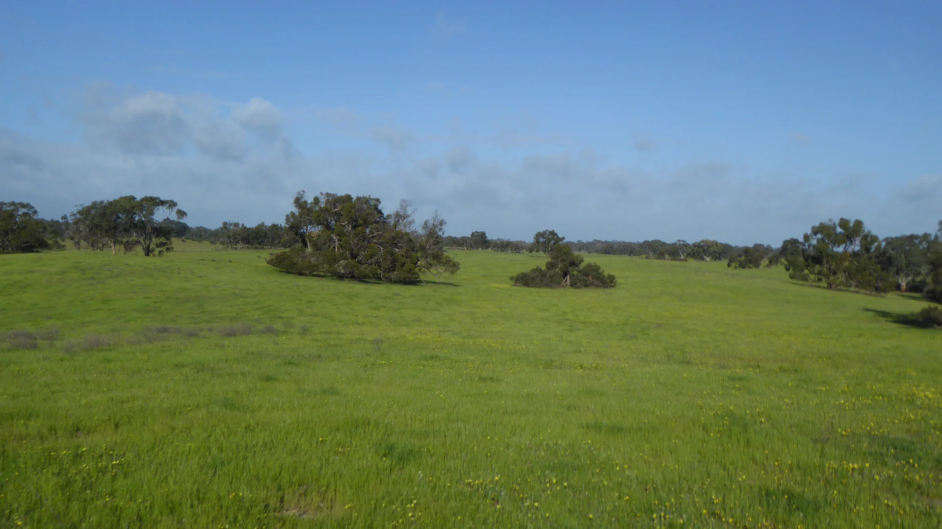 Image 18
