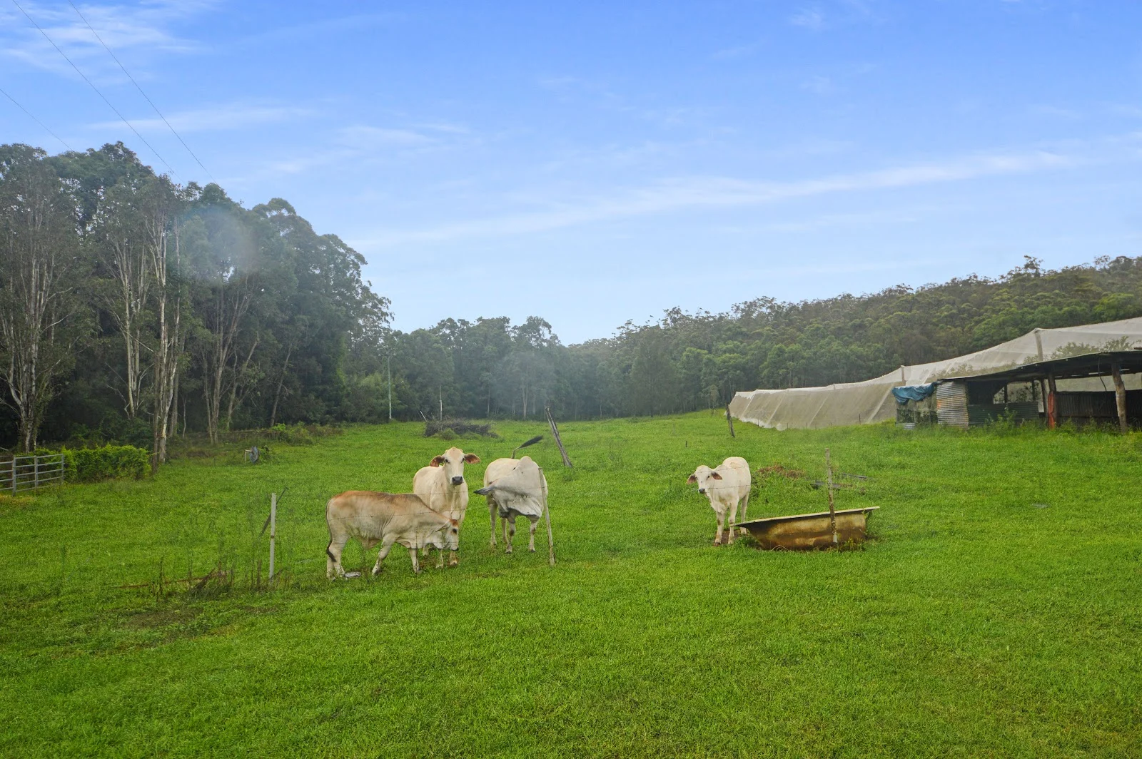 Additional image 6 of 1888 Tumoulin Road, Ravenshoe QLD 4888