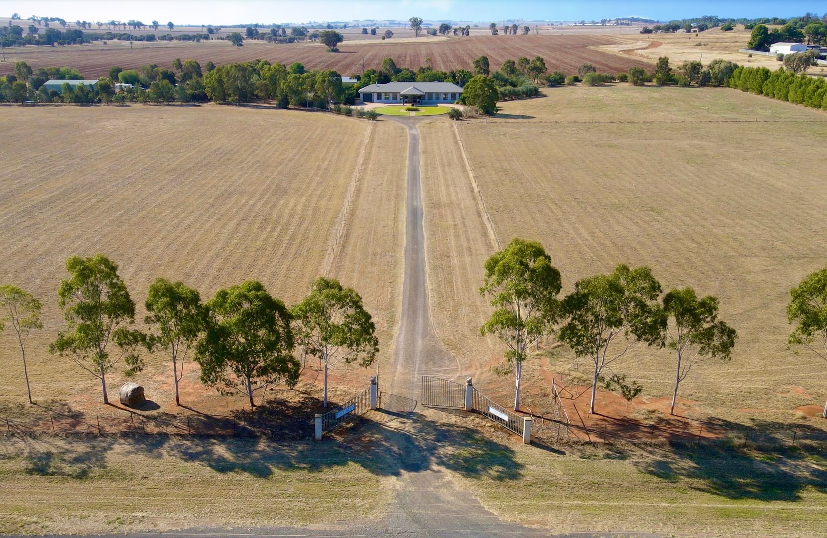 'Valhalla' 210 Bedgerabong Road, Forbes NSW 2871, Image 1