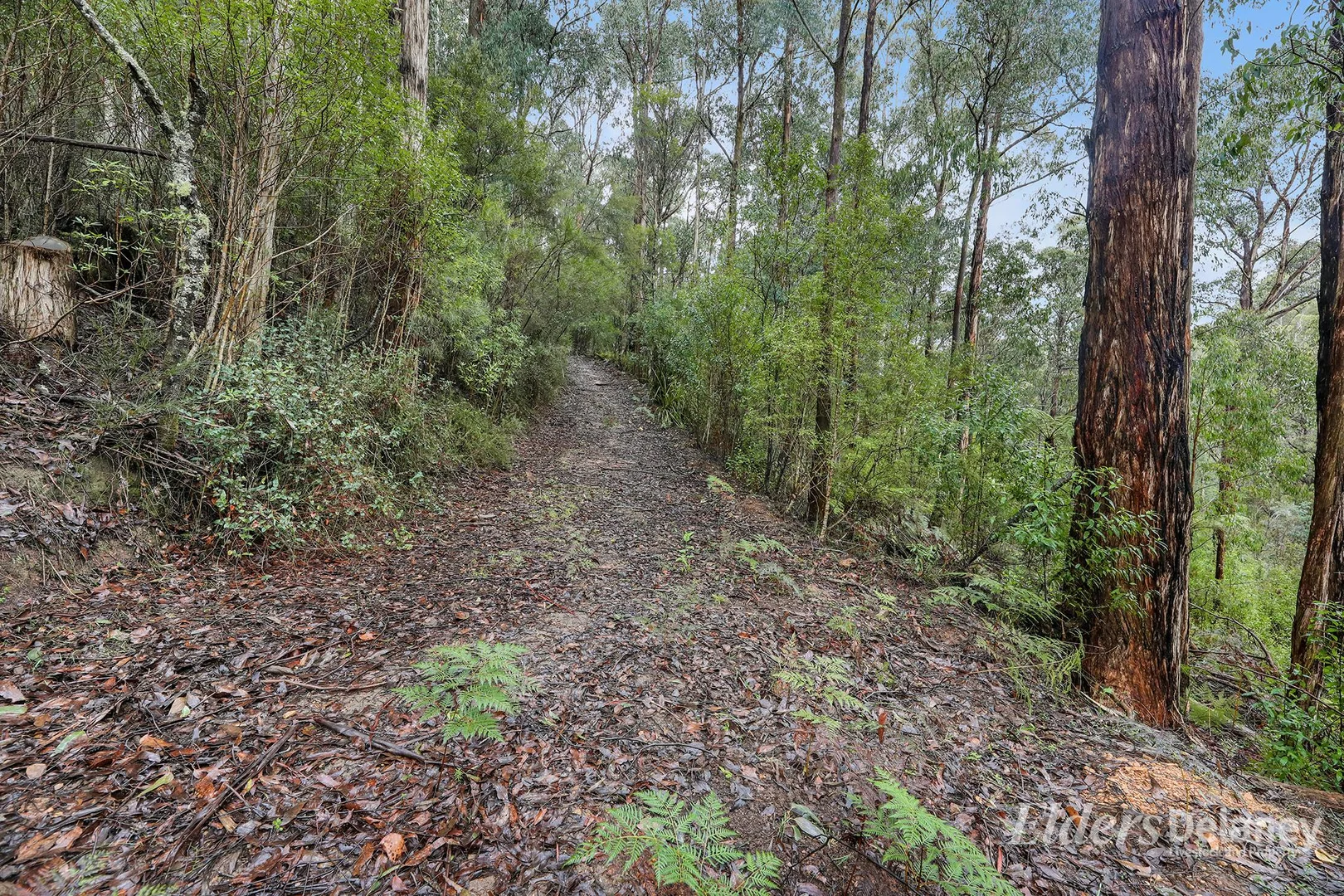 Image 12