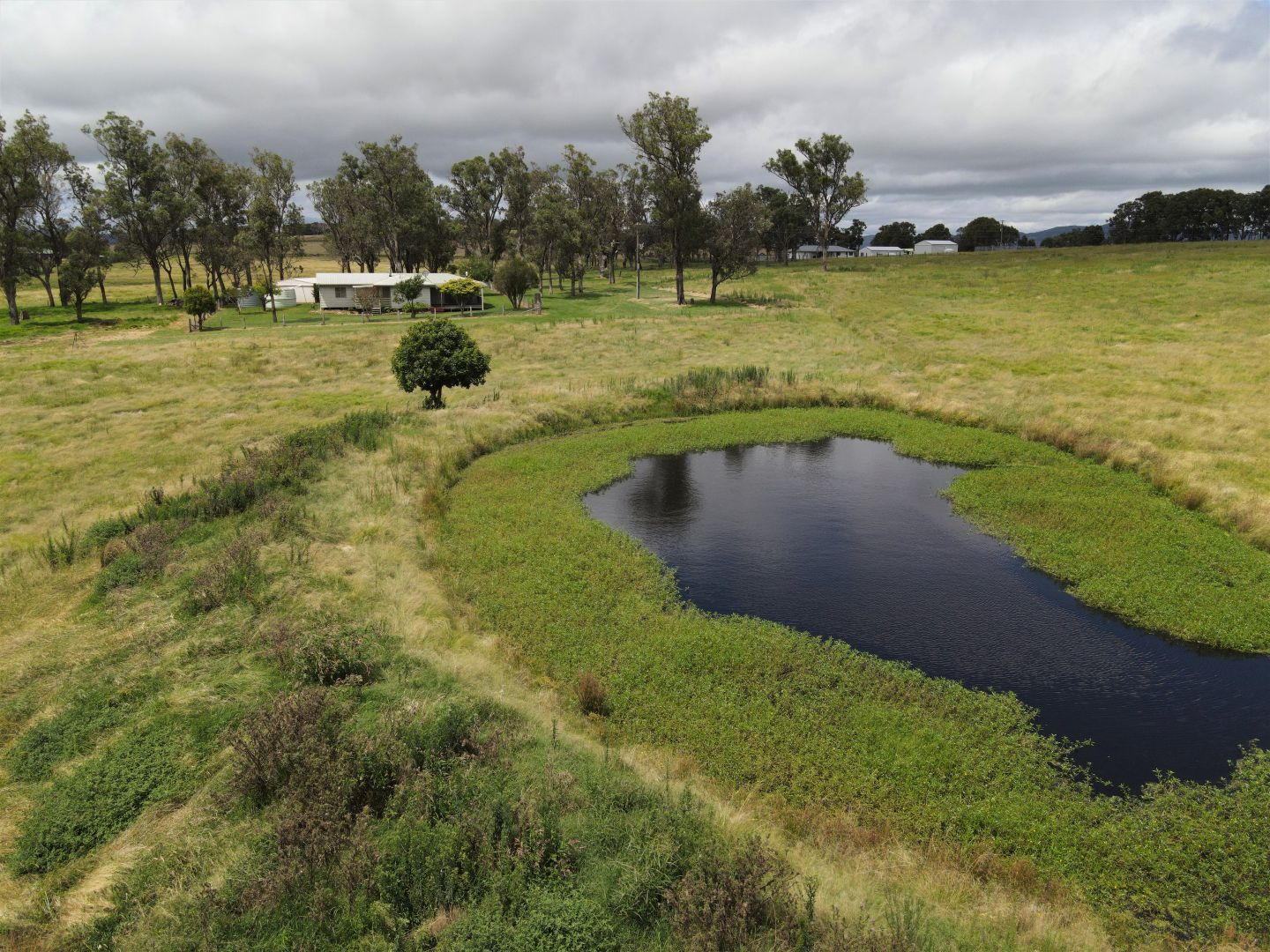 644 Bryans Gap Road, Tenterfield NSW 2372, Image 1