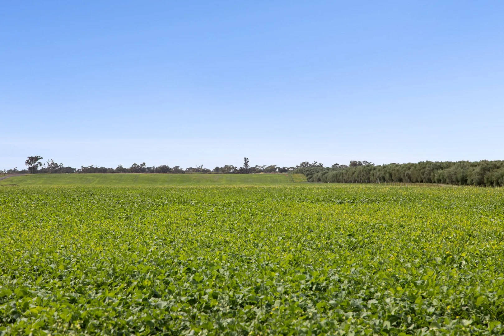 Additional image 5 of Lot 2 Barnadown-Knowsley Road, Muskerry VIC 3557