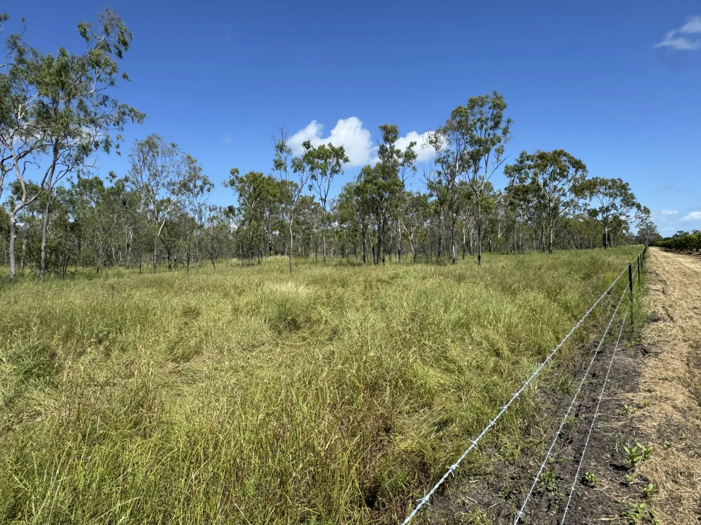 Additional image 3 of Bruce Highway, Guthalungra QLD 4805