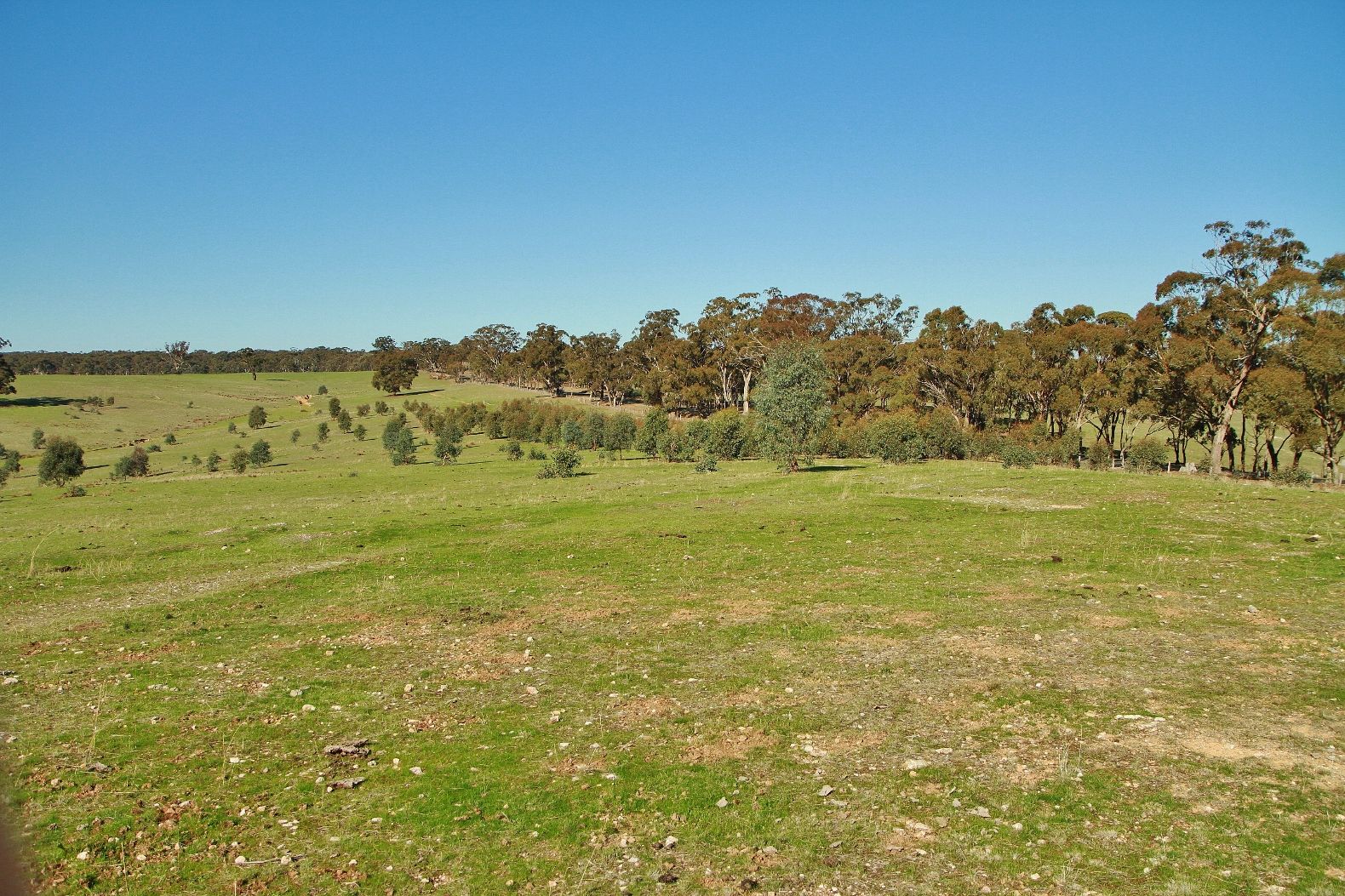 CA 2B Mia Mia - Derrinal Rd, Heathcote VIC 3523, Image 2