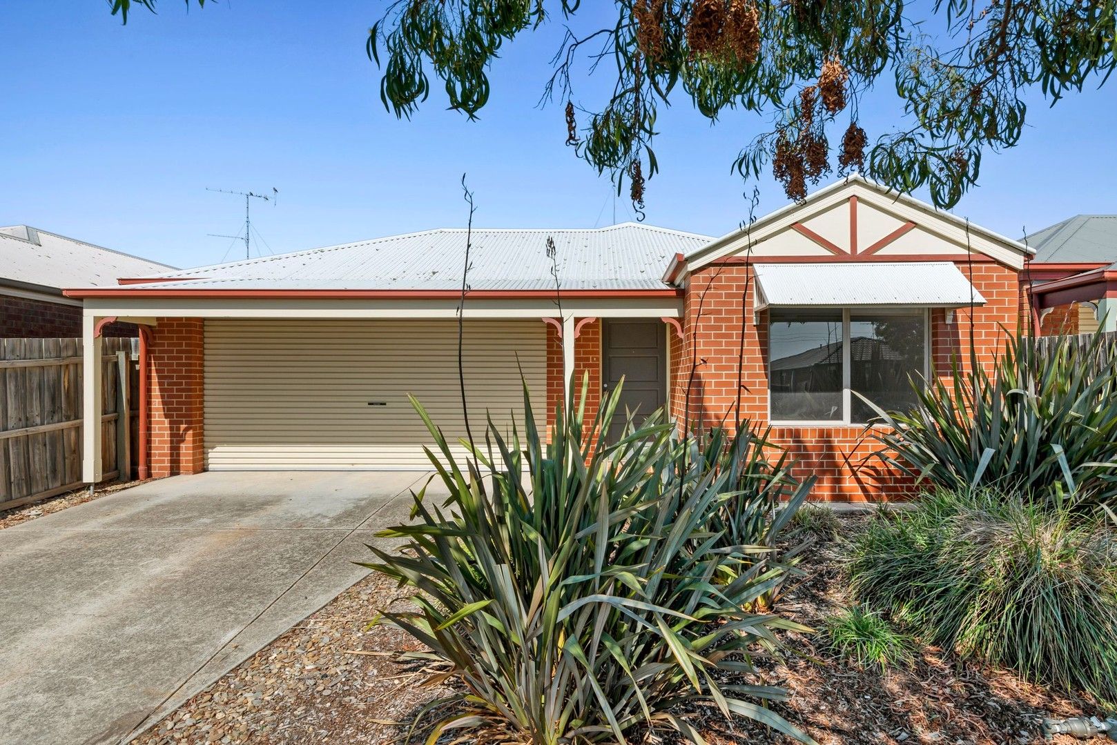 3 bedrooms House in 55 Hewitt Drive GROVEDALE VIC, 3216