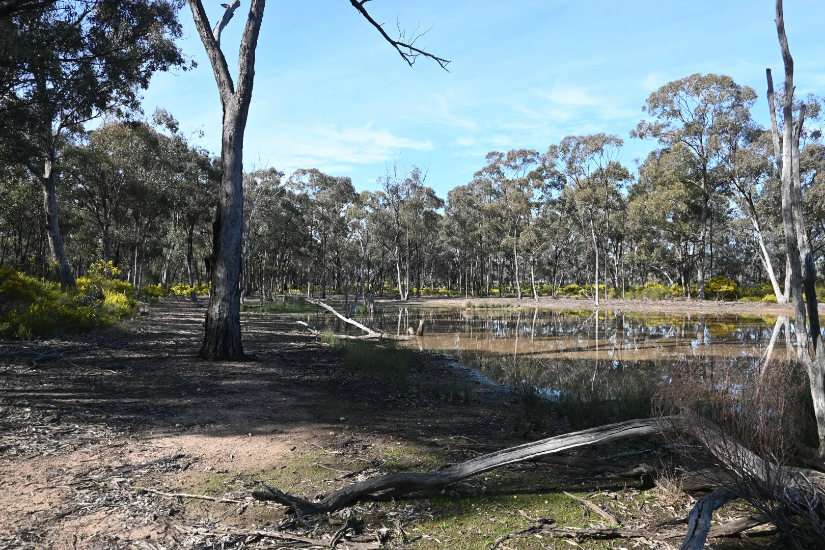 Image 18
