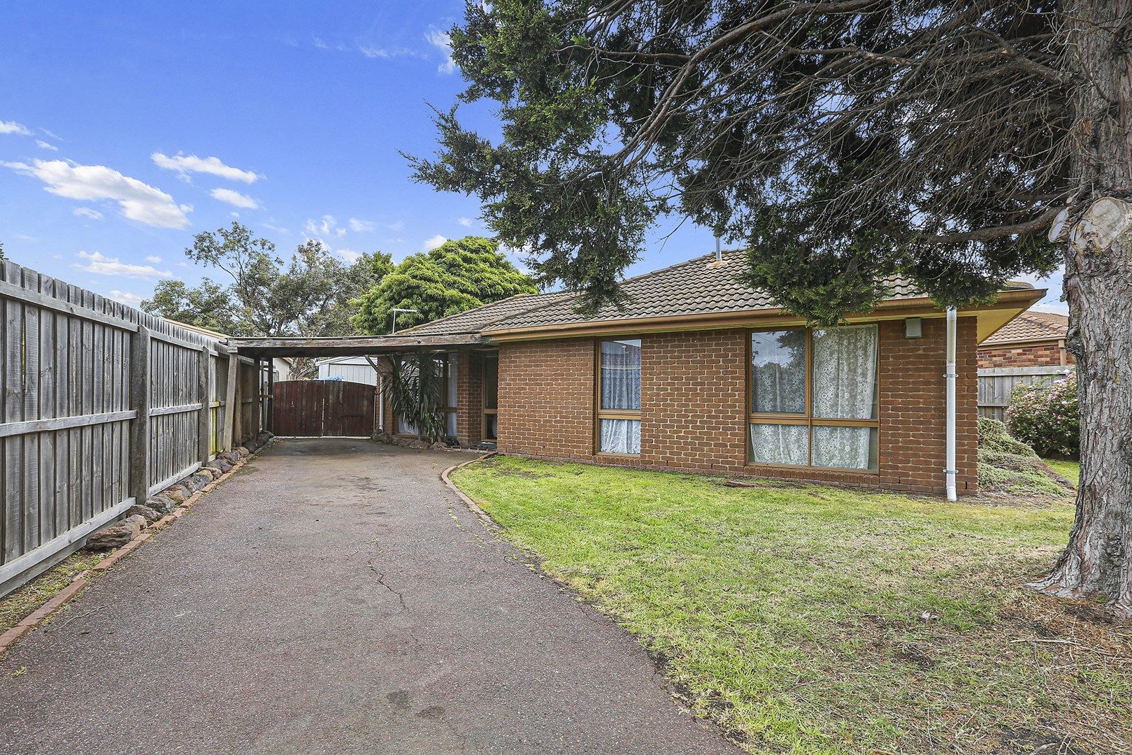 118 Solar Drive, Whittington VIC 3219, Image 0