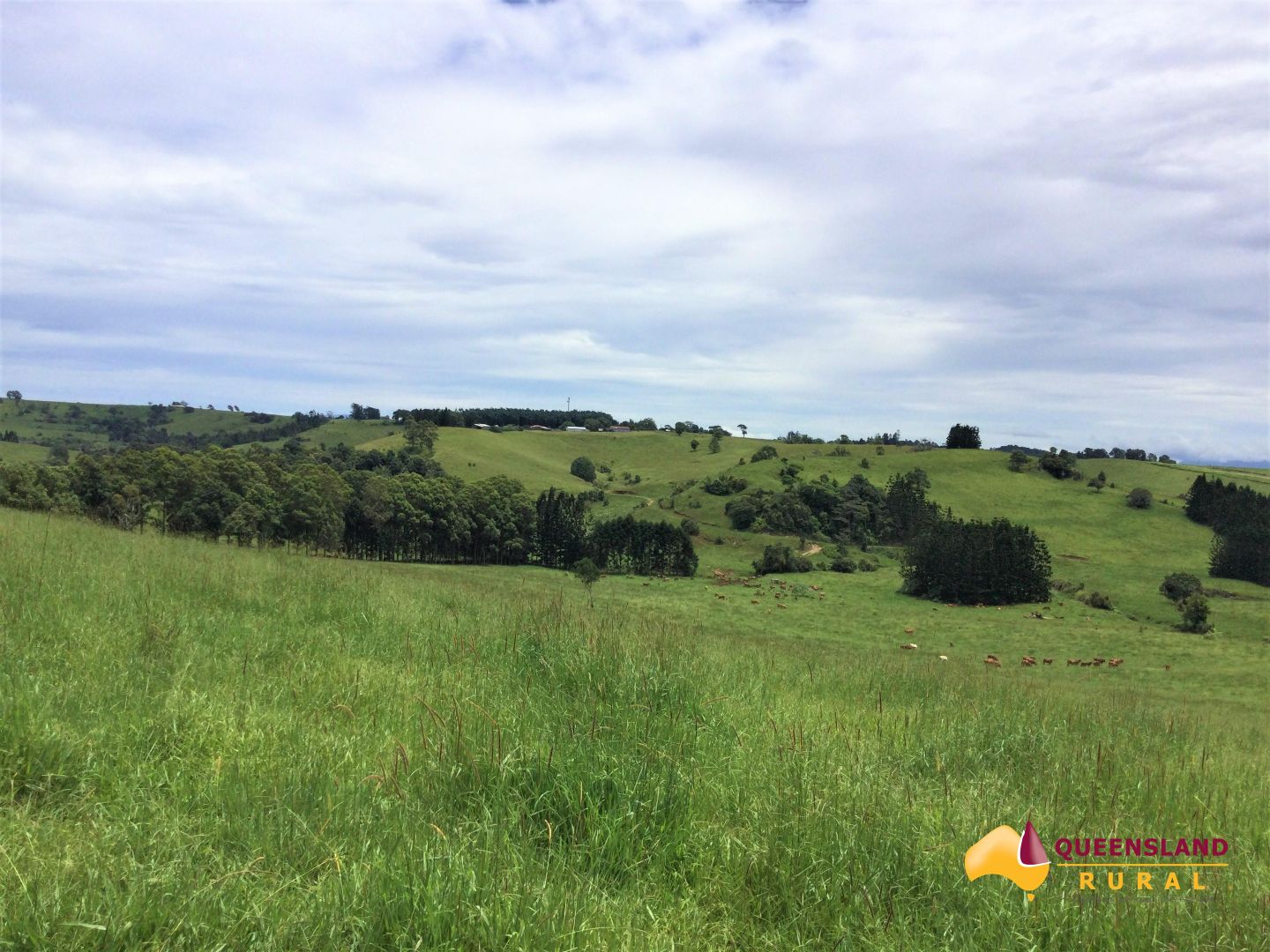 Seamark Road, Tarzali QLD 4885 House for Sale Domain