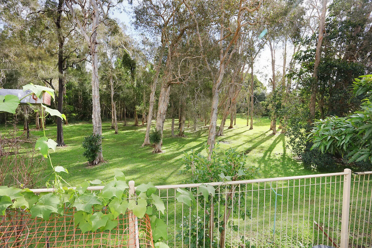 Image 13