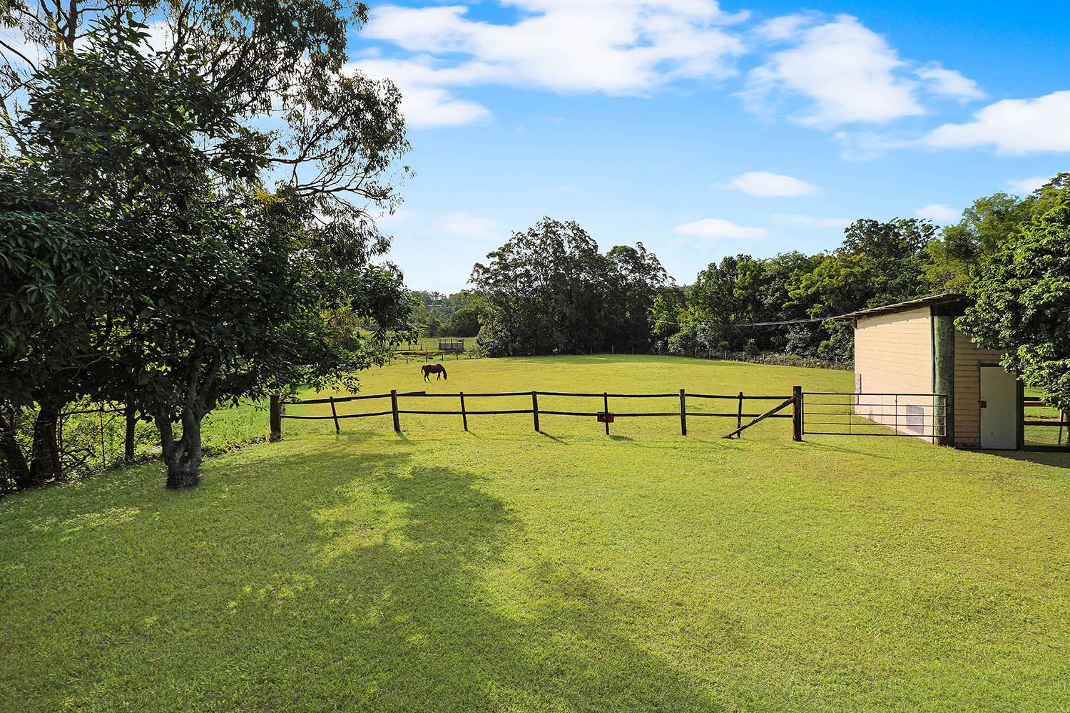 229 Highlands Rd, Eudlo QLD 4554, Image 2