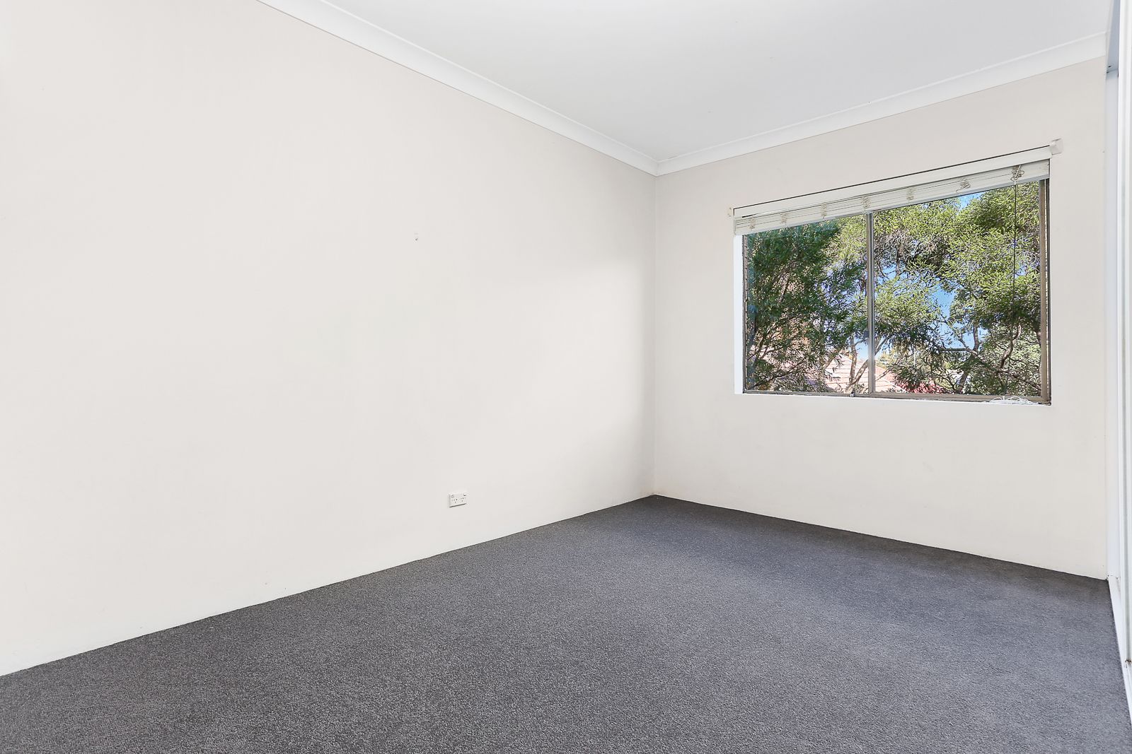 5/5 Frances Street, Randwick NSW 2031, Image 1