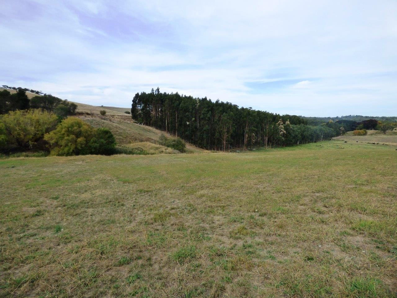 Lot 102 Beaumont Road, Verdun SA 5245, Image 0