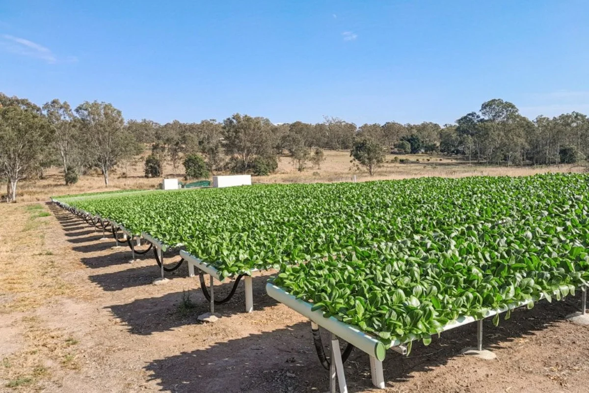 Additional image 2 of 107 Reinbotts Road, Lowood QLD 4311