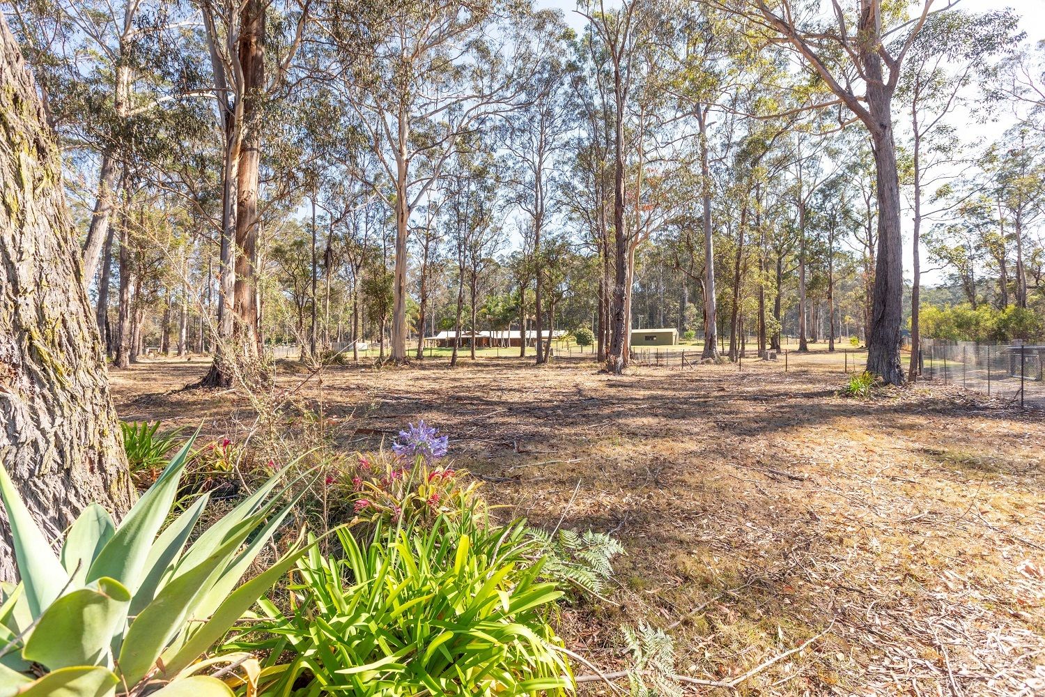 68 Bowerbird Pl, Eden NSW 2551, Image 1