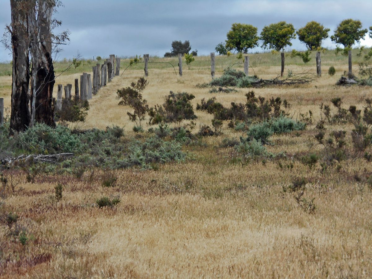 Lot 10 Wanera Lane, Goodnight NSW 2736, Image 1