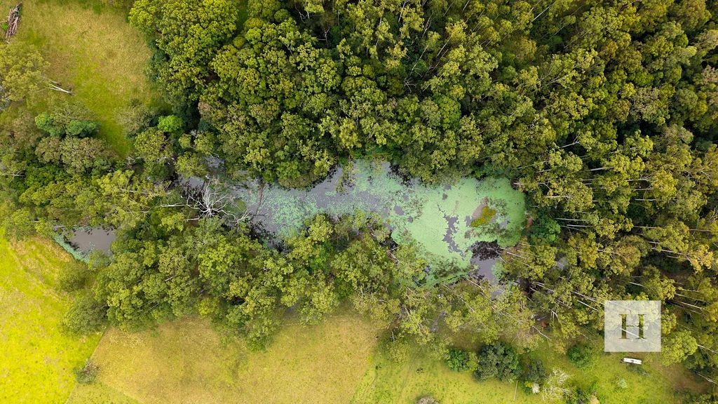 Additional image 16 of 200 Coopernook Forest Way, Lansdowne Forest NSW 2430