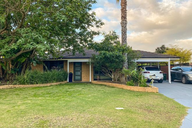 Picture of 24 Kutcharo Crescent, JOONDALUP WA 6027