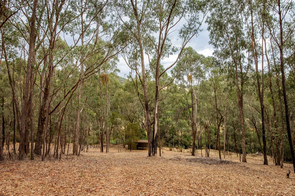 Image 25