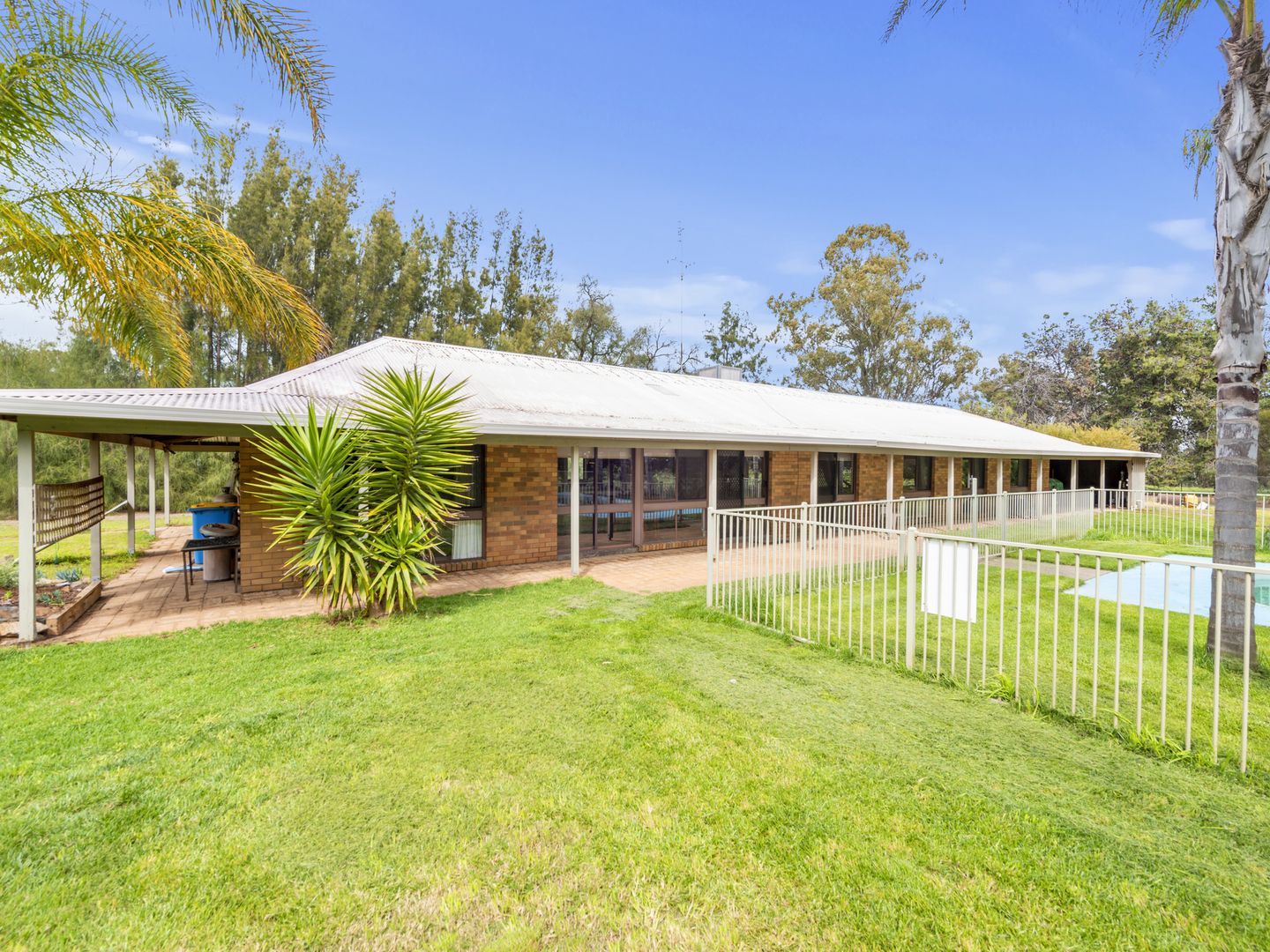 449 Caseys Road, Berrigan NSW 2712, Image 1