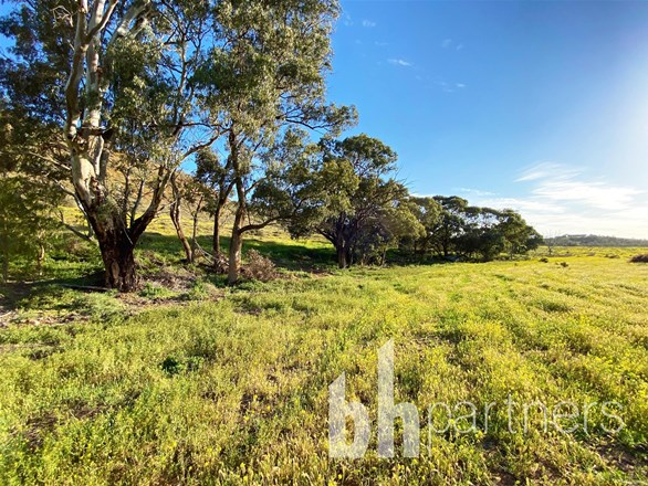 39 Long Gully Road, Mannum SA 5238