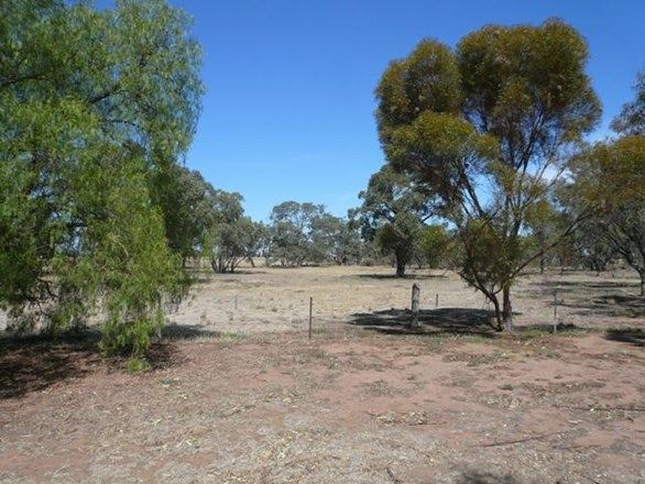 Midgley's Road, MINYIP VIC 3392, Image 2