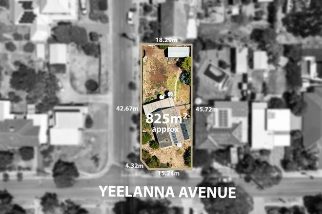 Picture of 38 Yeelanna Avenue, SEAVIEW DOWNS SA 5049