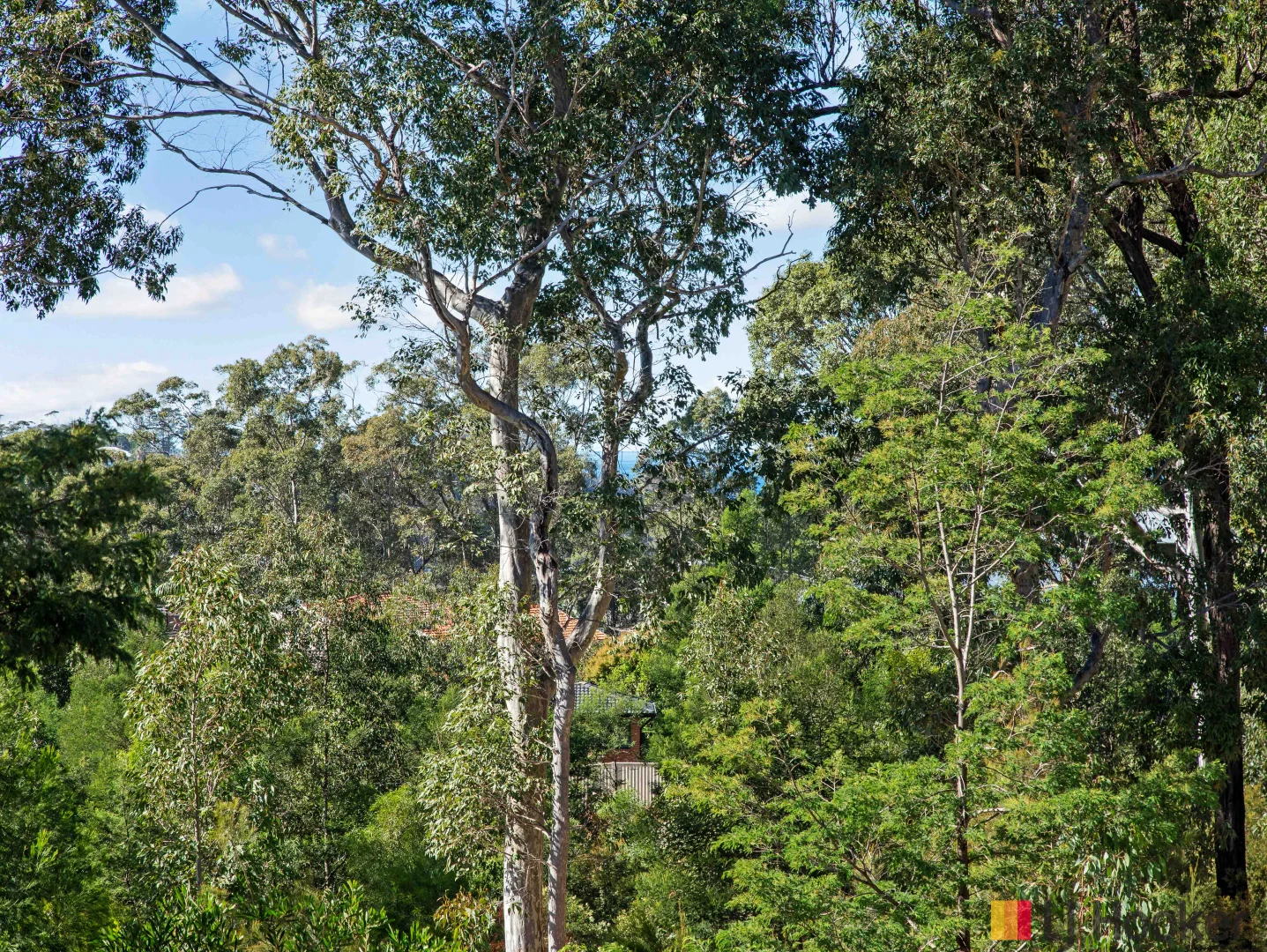 Image 12