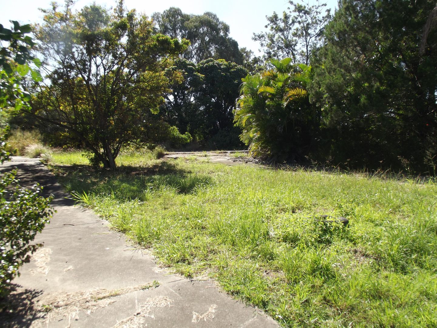 32-38 Islander Road, Pialba QLD 4655, Image 2