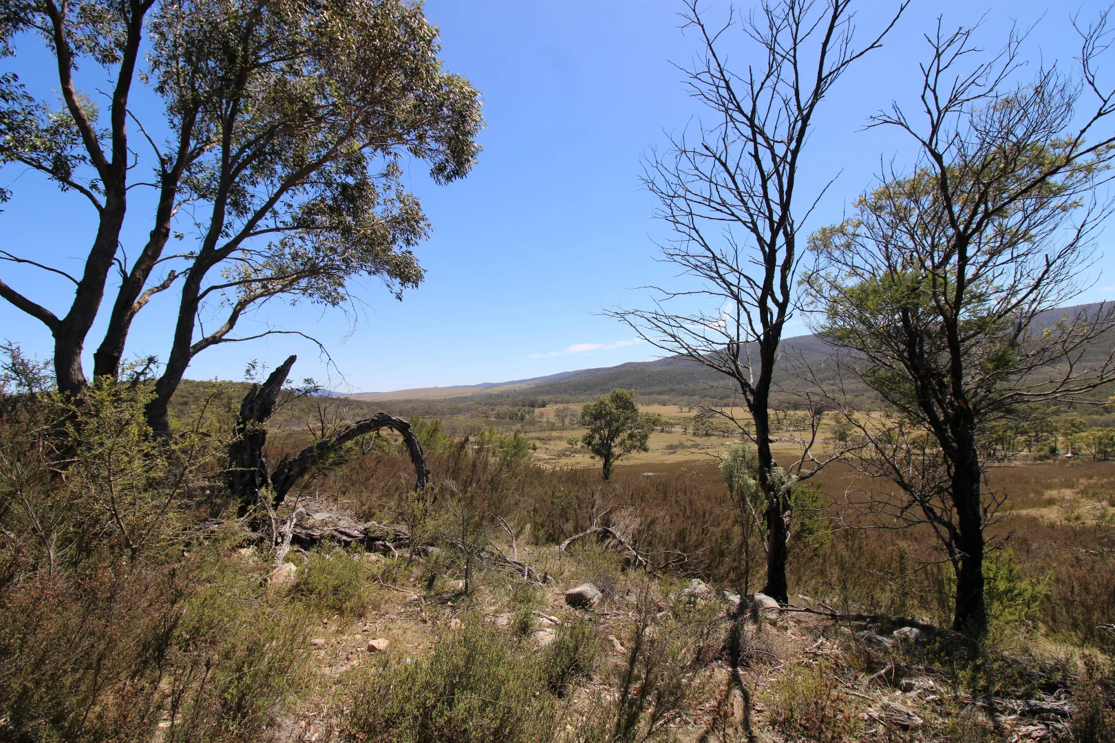 Image 13